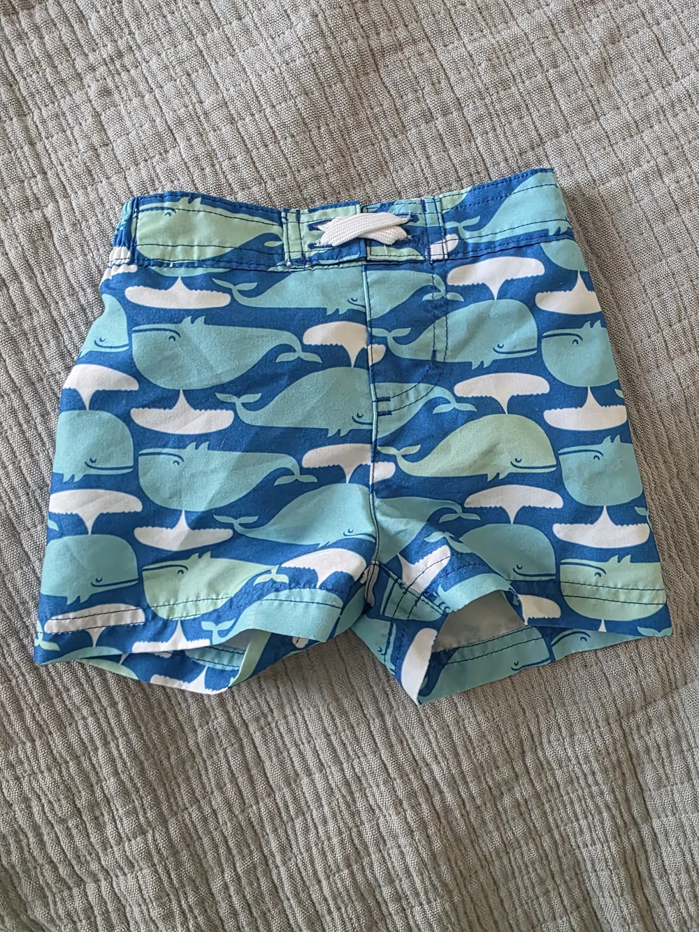 Men's Blue Plaid Swim Shorts